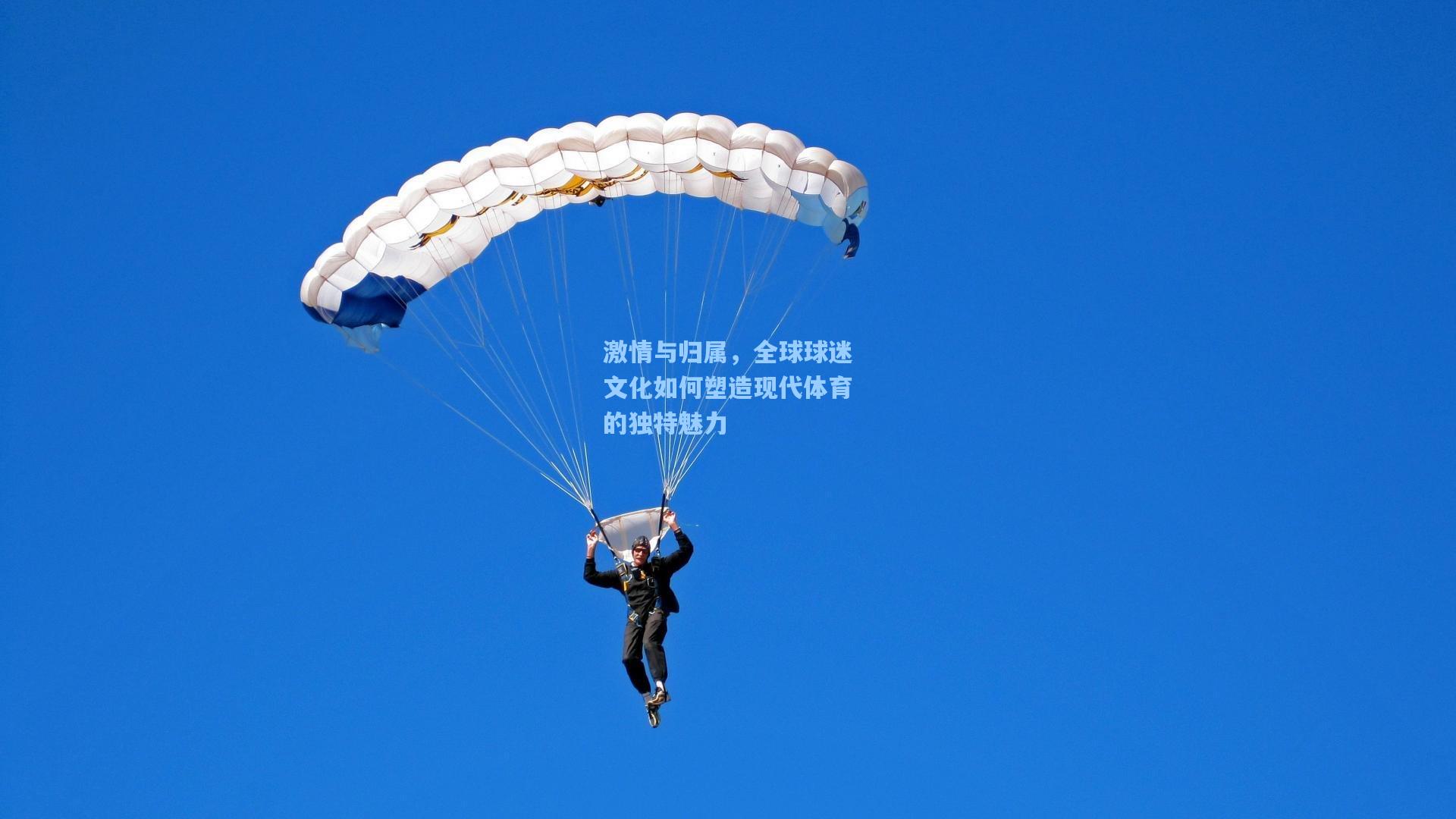 激情与归属，全球球迷文化如何塑造现代体育的独特魅力
